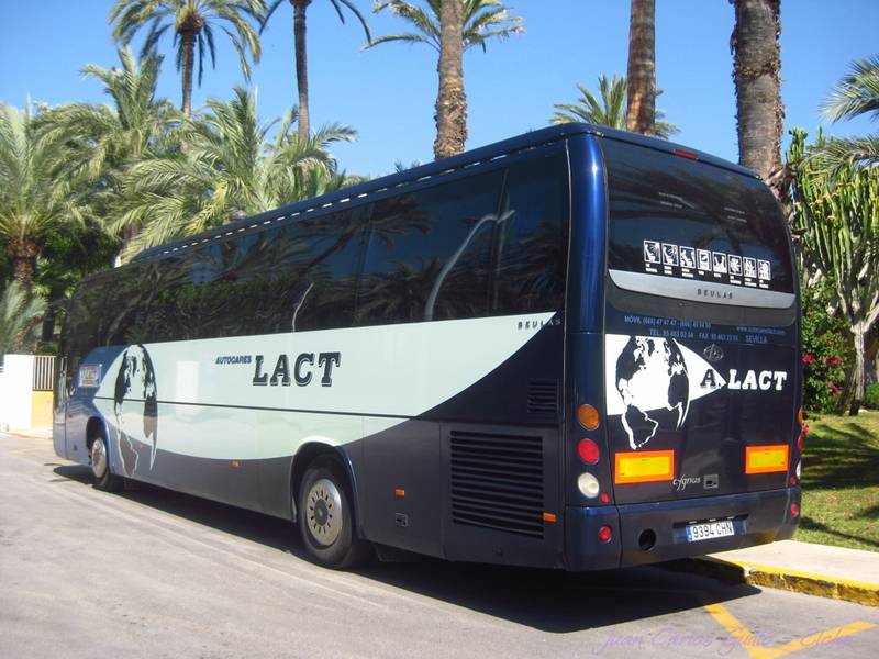 Autobús turístico LACT aparcado junto a palmeras